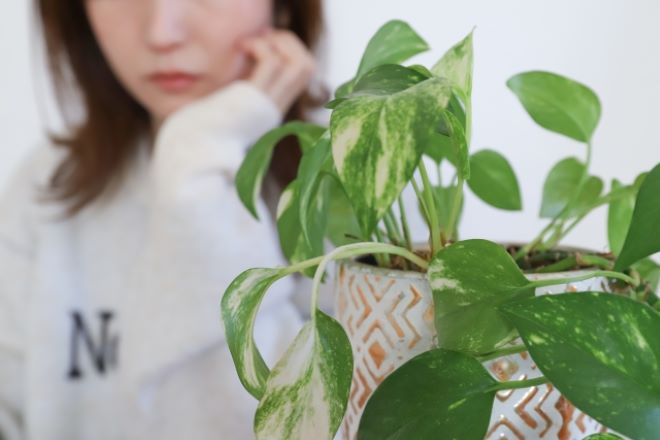 交際時に感じた女性の影、結婚後も続いていないか不安|30代女性からの調査相談。